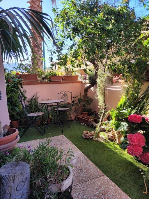 Casa Narciso ヴィッラシミーウス エクステリア 写真